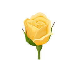 yellow rose emoji copy paste