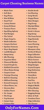 273 carpet cleaning business names to