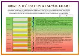 Set Of Two Bristol Stool Scale And Urine Hydration Analysis Chart A4