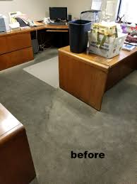 magna dry carpet and upholstery dry
