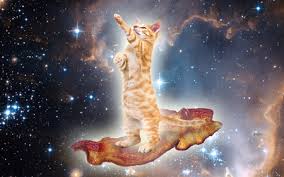 Cat In Space Photography Abstract Background Wallpapers On