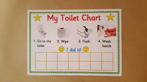 My Toilet Reward Chart