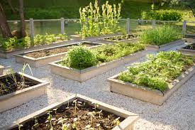 4 vegetable garden layout designs to
