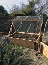 raised planter beds with squirrel proof