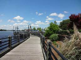 7 fun things to do in wilmington nc