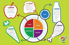 myplate munch and learn placemat
