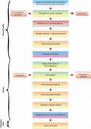 Flow Diagram Of Procedures For Developing Bacterial