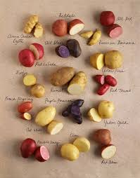 Potato Chart Potato Varieties Types Of Potatoes Vegetables