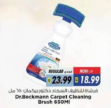 dr beckmann carpet cleaning brush