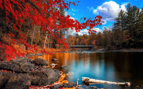 1000 autumn wallpapers wallpapers com