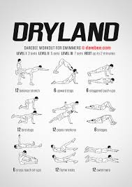 dryland workout