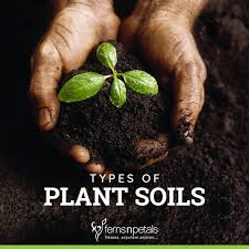 Diffe Types Of Plant Soils In India