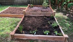 in ground garden beds vs raised garden