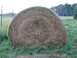 Hay Bale Size Really Does Matter Agweb