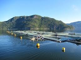 See insights on grieg seafood including office locations, competitors, revenue, financials, executives, subsidiaries and more at craft. File Grieg Seafood Fish Farm Jpg Wikimedia Commons