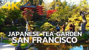 san francisco anese tea garden