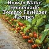 What is a good homemade fertilizer for tomatoes?