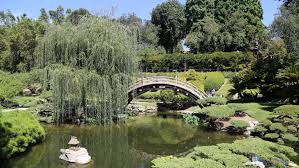 Image result for huntington library images