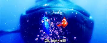 The best gifs are on giphy. Best Dory Finding Nemo Gifs Gfycat