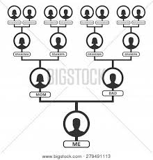 Family Tree Pedigree Or Ancestry Chart Template Family
