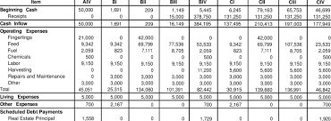 Example Of A Pro Forma Cash Flow Budget Quarterly For 160 Acre