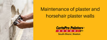 Horsehair Plaster Repair Maintenance