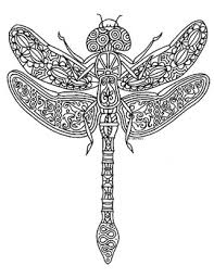 Supercoloring.com is a super fun for all ages: Dragonfly Color Sheets Worksheets Teaching Resources Tpt