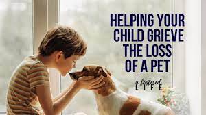 your child grieve the loss of a pet