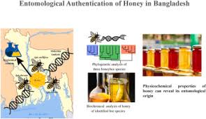 entomological origin of honey