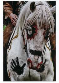 391 Best Indian War Horse Images Native American Horses