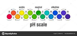 Value Scale Chart Acid Alkaline Solutions Acid Base Balance