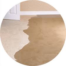 carpet water damage repair ct water