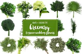 Don't write filler flowers off when it comes to your bridal bouquet. The Essential Guide To Greenery For Weddings Green Flower Names