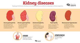 urinary system diseases infographics