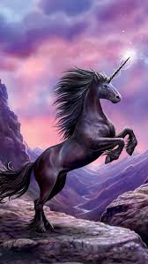 Hd to 4k quality free download no attribution required. Fantasy Unicorn Wallpaper Posted By Ethan Simpson