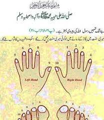 the sunnah way of cutting the nails