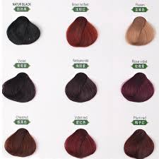 Hot Sell Permanent Henna Speedy Hair Color Cream And Iso Hair Color Chart Buy Iso Hair Color Chart Hot Sell Permanent Henna Speedy Hair Color