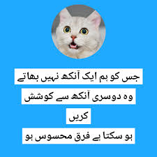 Browse free online funny poetry, jokes in urdu If You Did Not Do Your Homework Meme Funny Jokes In Urdu Seekhly