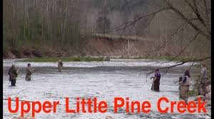 Trout Fishing Pennsylvanias Upper Little Pine Creek