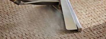 ranks best carpet cleaning in michigan