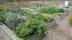 Sustainable Gardening Australia