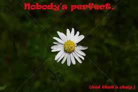 Nobody's perfect makes us realise our kinship with our neighbours. Nobody S Perfect Quotes Sentences Typography Pixoto