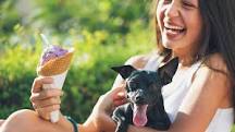 is-dog-ice-cream-good-for-dogs