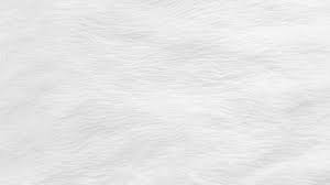 fur background with white soft fluffy