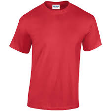 Gildan Heavy Cotton Adult T Shirt