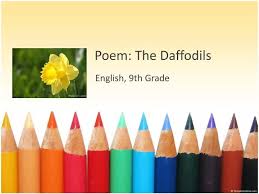 ppt poem the daffodils powerpoint