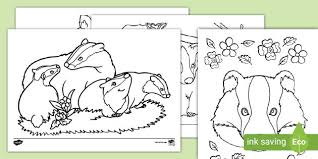 39+ badger coloring pages for printing and coloring. Badger Colouring Pages Teacher Made