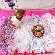 paper litter pet bedding for small animals