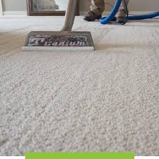 koala t carpet cleaning