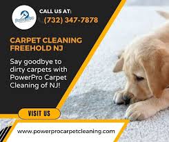 carpet cleaning freehold nj say